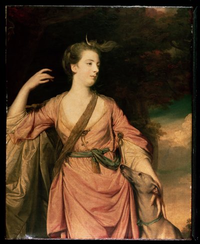 Lady Dawson c.1763 da Joshua Reynolds